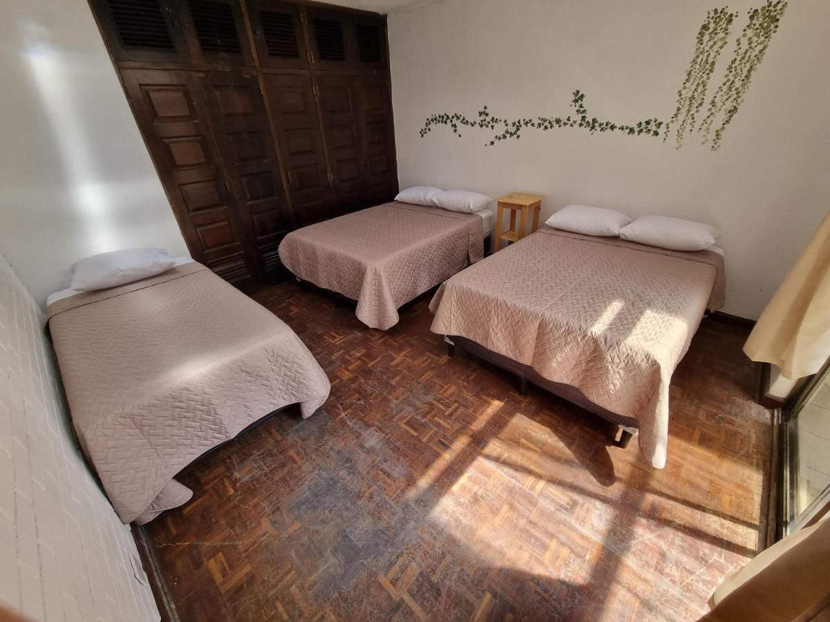 Central 10 Boutique Hostel Guatemala Dış mekan fotoğraf