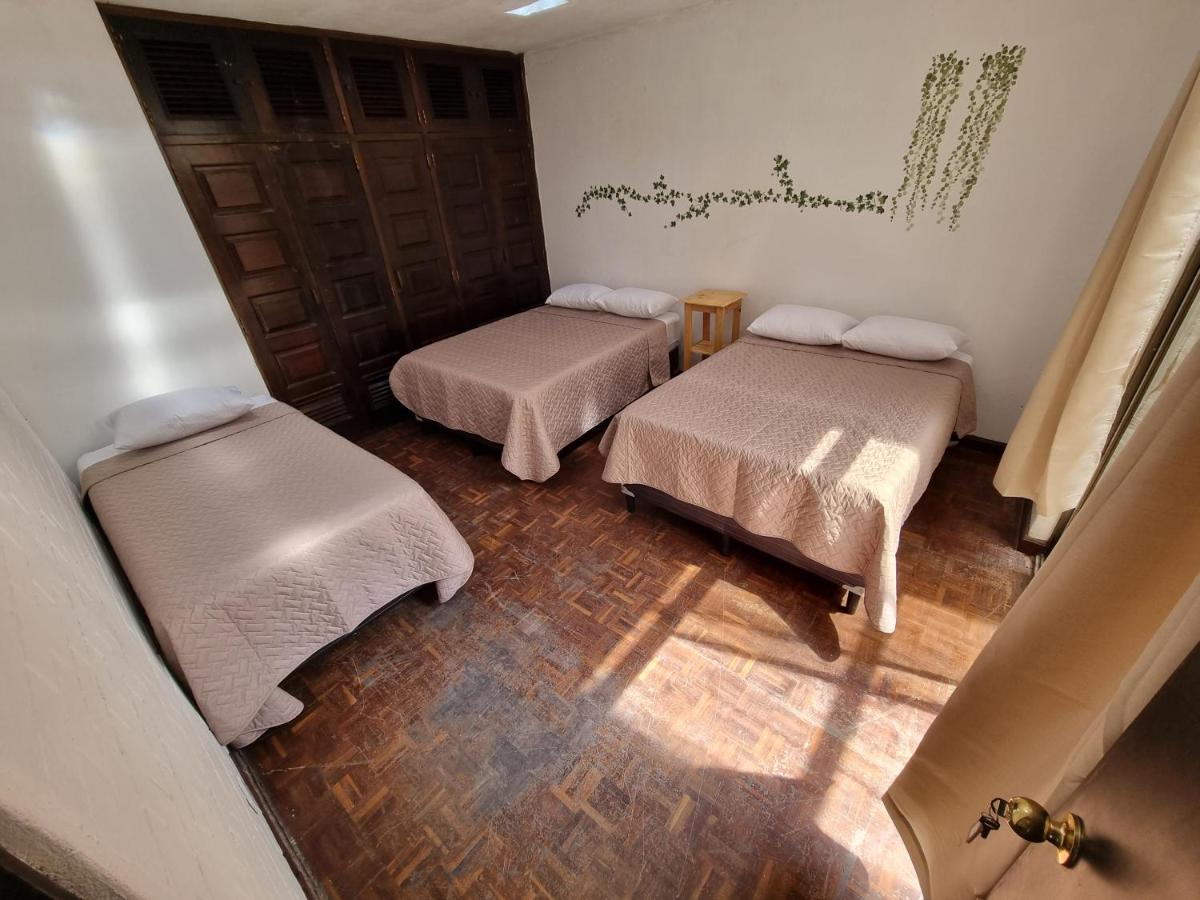 Central Hostel Zona 10 Guatemala Dış mekan fotoğraf